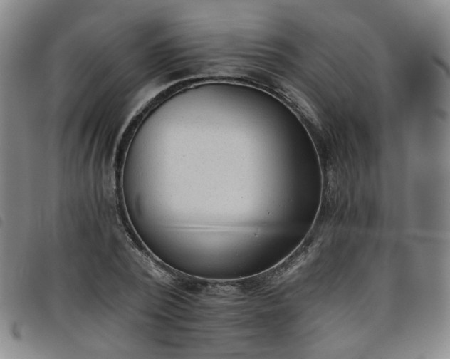 X0000098140784200804241713