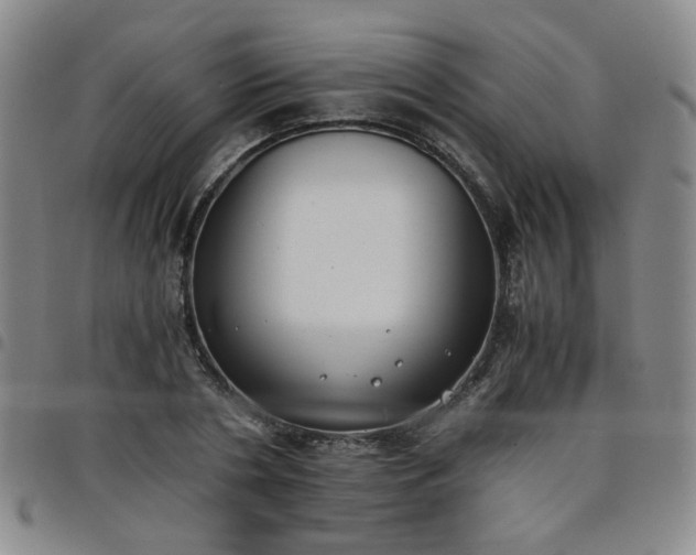 X0000098140786200804241713