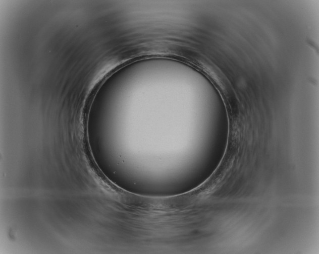 X0000098140787200804241713