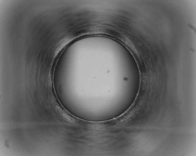 X0000098140789200804241713