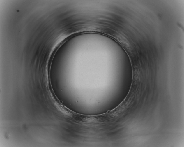 X0000098140792200804241713