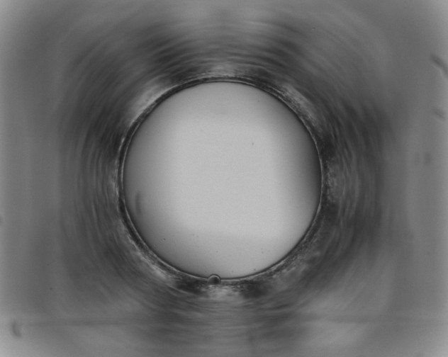 X0000098140794200804241713