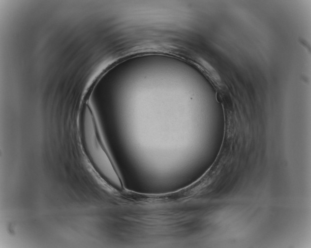 X0000098140796200804241713