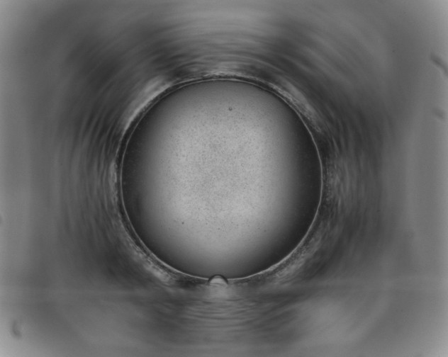 X0000098140798200804241713