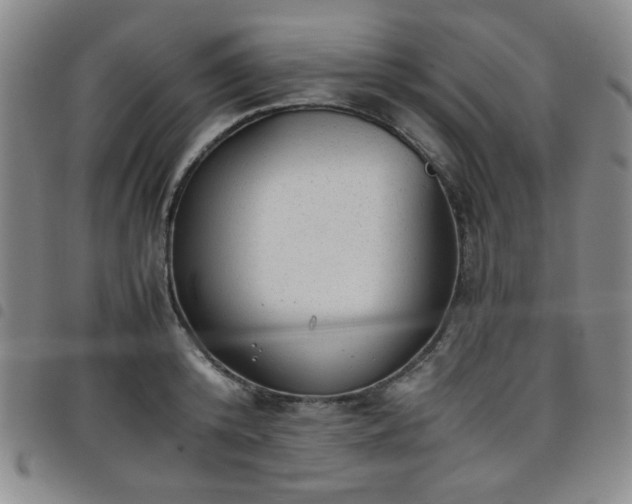 X0000098140800200804241713