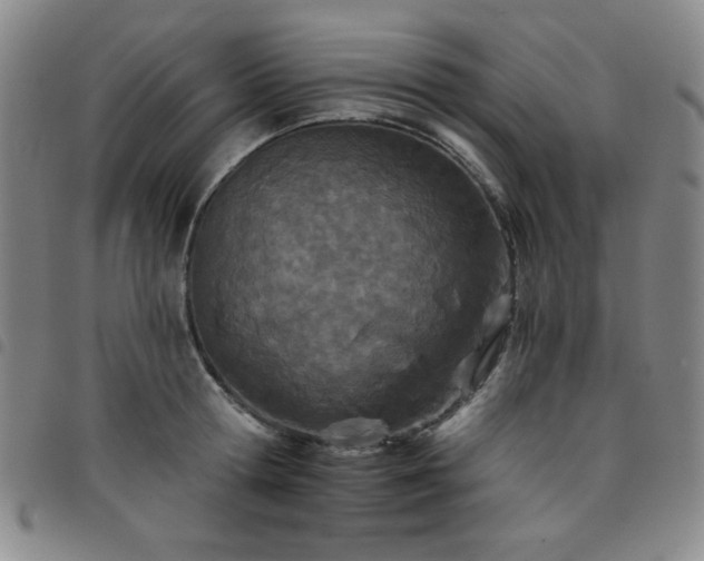 X0000098140802200804241713