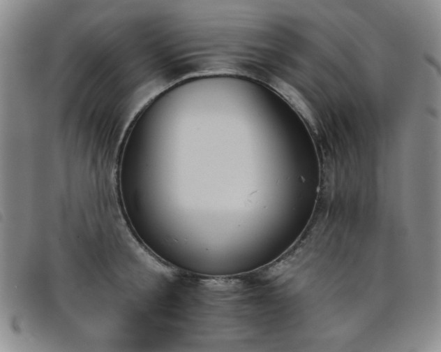 X0000098140805200804241713