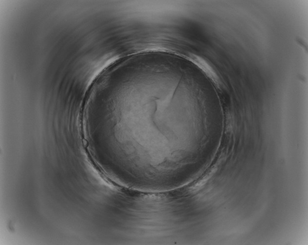 X0000098140806200804241713