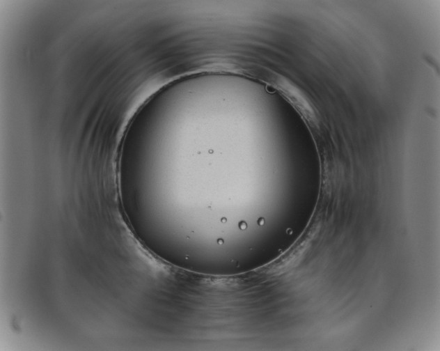 X0000098140808200804241713