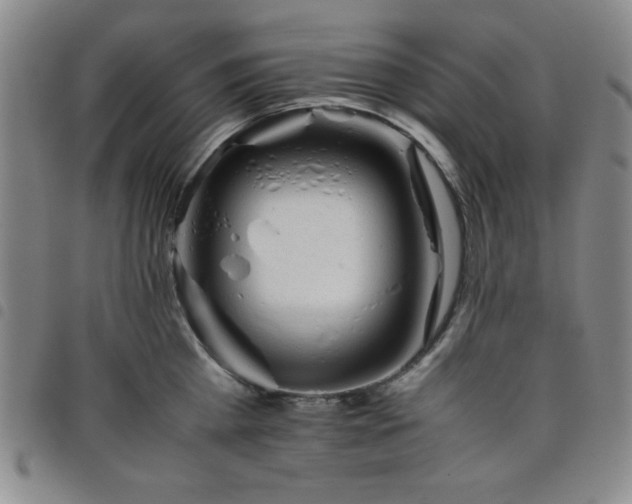 X0000098140809200804241713
