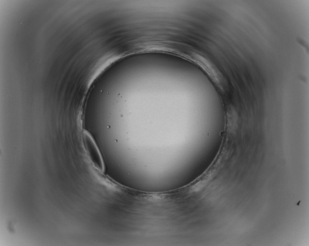 X0000098140814200804241712