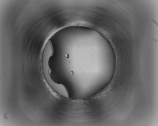 X0000098140816200804241712