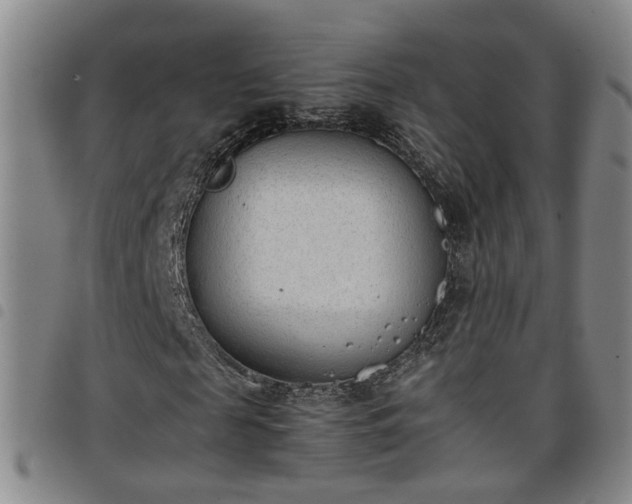 X0000098140817200804241712