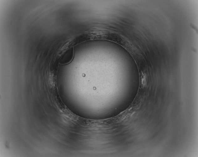 X0000098140819200804241712