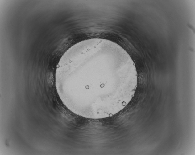 X0000098140820200804241712