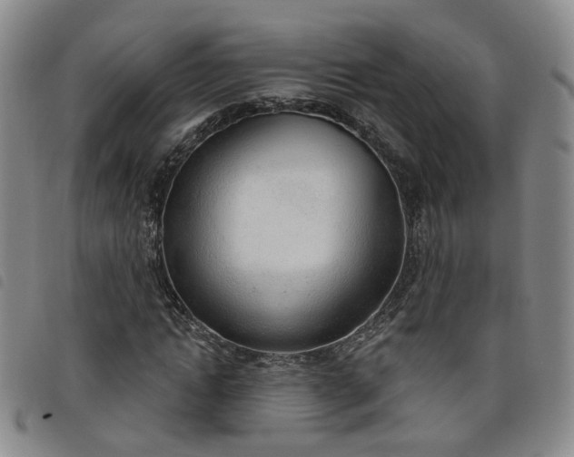 X0000098140822200804241712