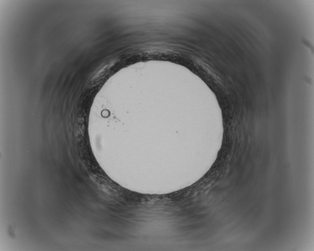 X0000098140824200804241712