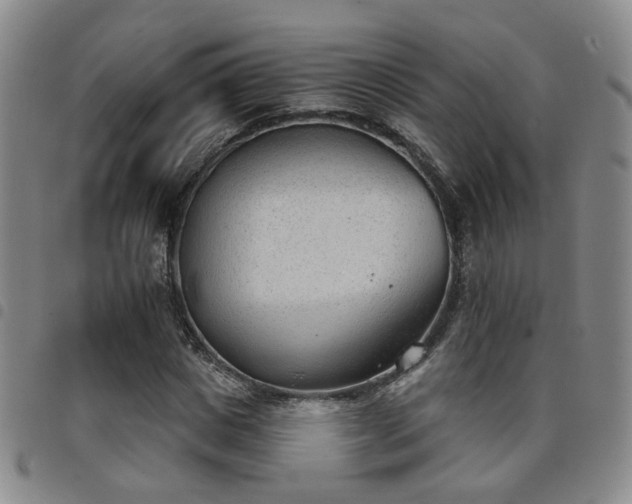 X0000098140825200804241712