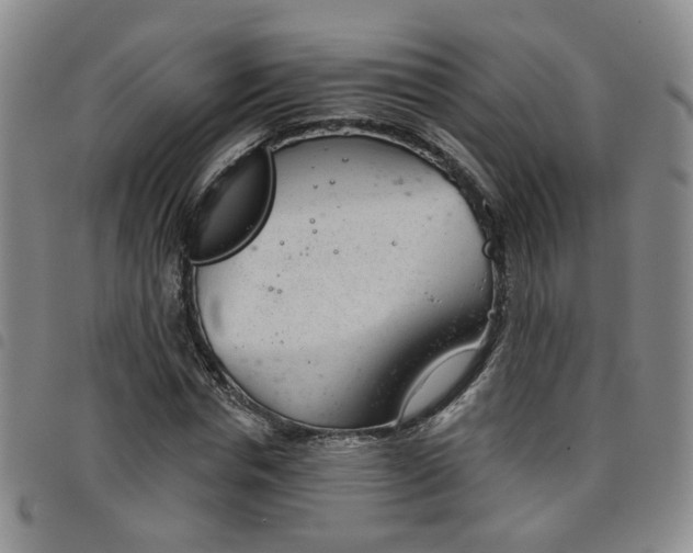 X0000098140826200804241712