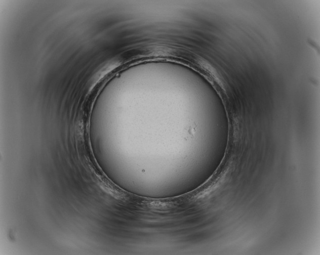 X0000098140827200804241712