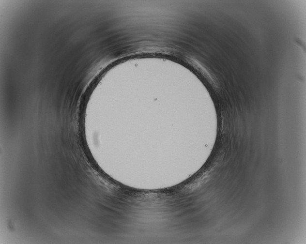 X0000098140828200804241712