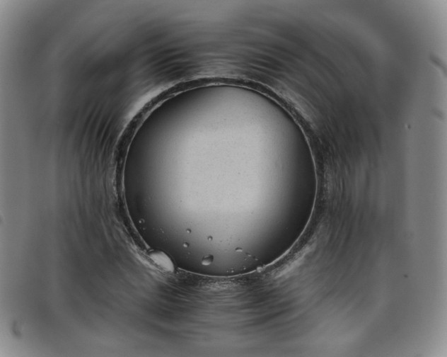 X0000098140830200804241712