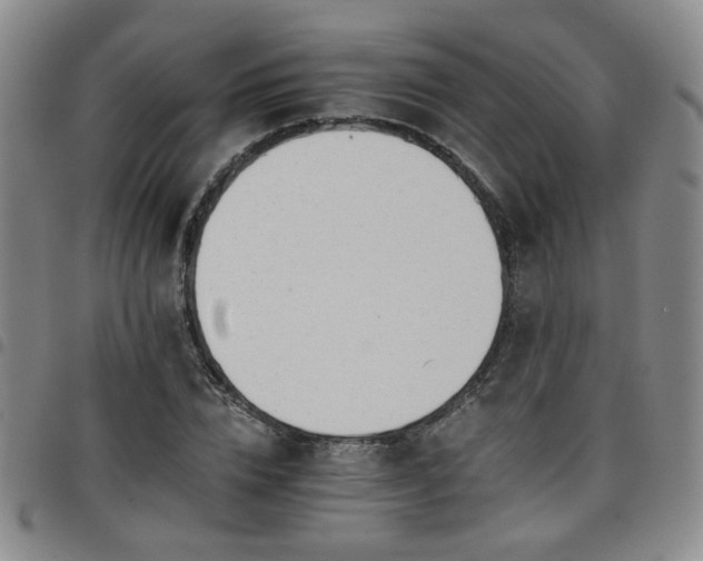 X0000098140832200804241712