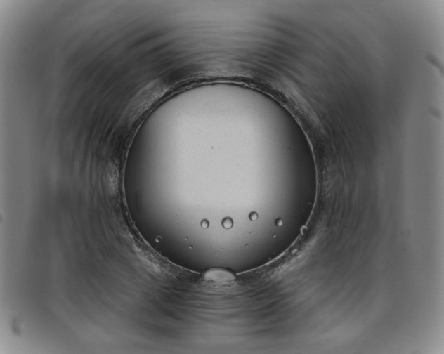 X0000098140833200804241712