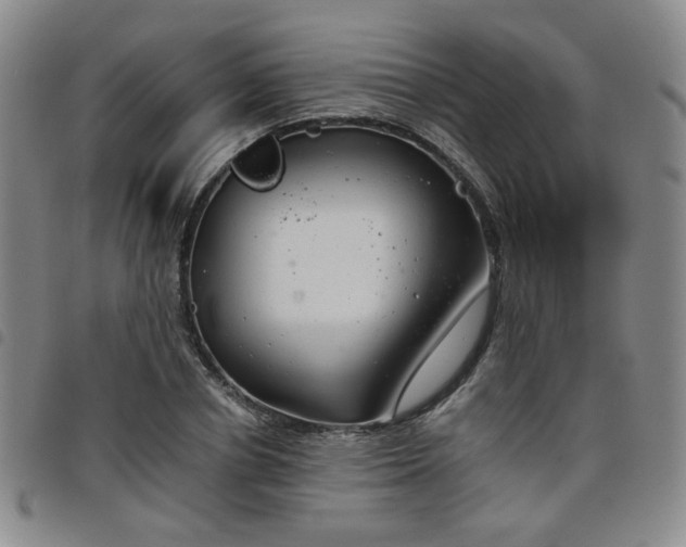 X0000098140834200804241712