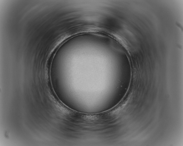 X0000098140835200804241712