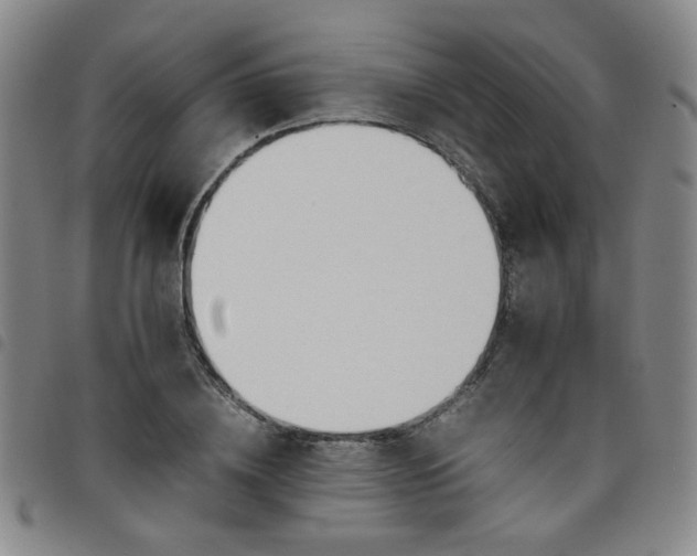 X0000098140836200804241712