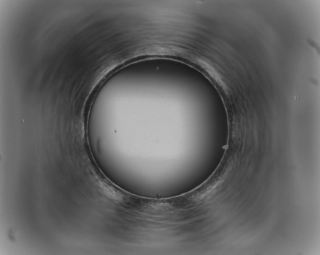 X0000098140837200804241712
