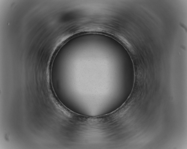 X0000098140840200804241712
