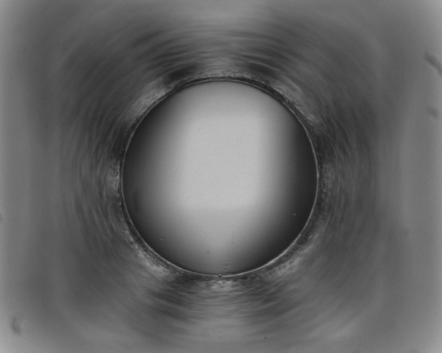 X0000098140841200804241712