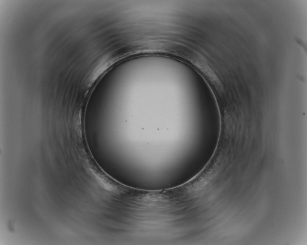X0000098140842200804241712