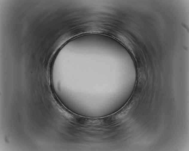 X0000098140843200804241712