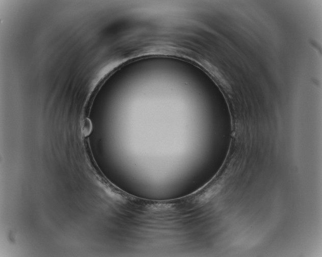 X0000098140846200804241712