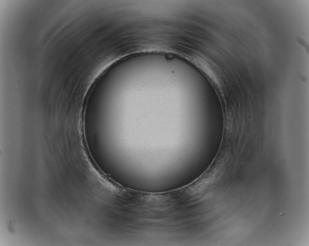 X0000098140847200804241712