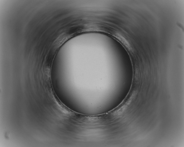 X0000098140849200804241712