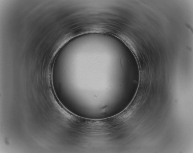 X0000098140851200804241712