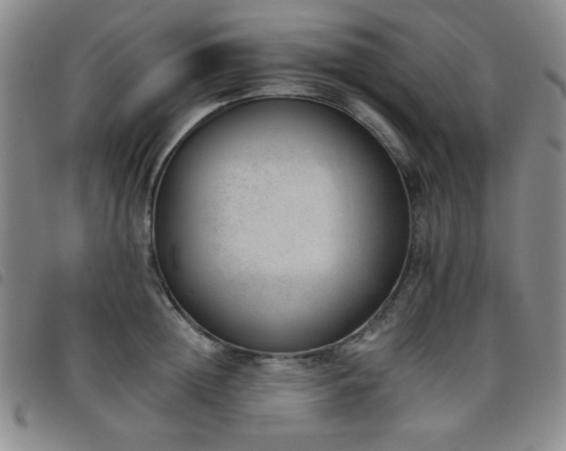 X0000098140852200804241712