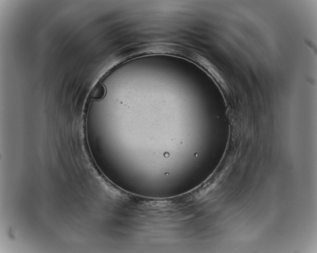 X0000098140853200804241712