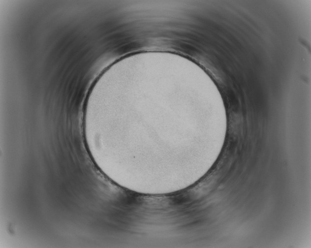 X0000098140856200804241712