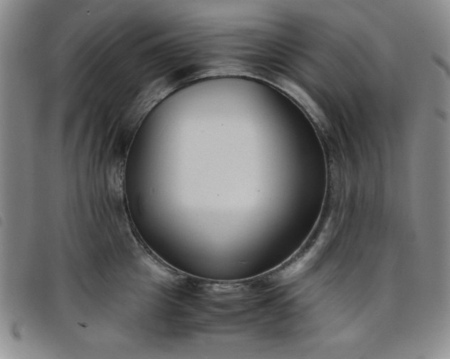 X0000098140857200804241712