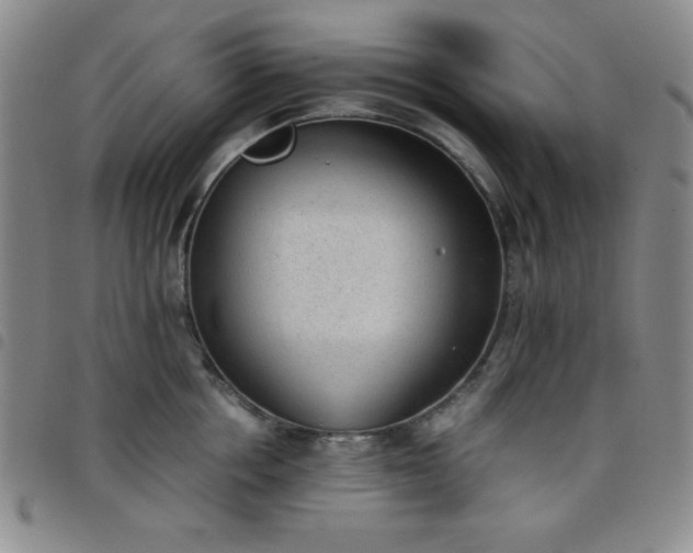 X0000098140858200804241712