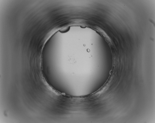 X0000098140860200804241712