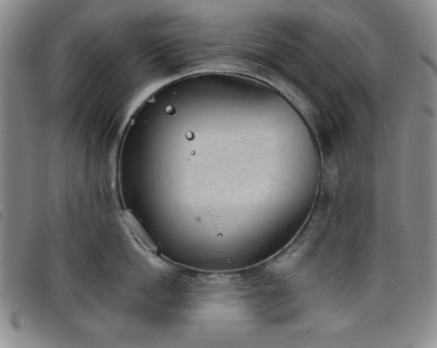 X0000098140862200804241712