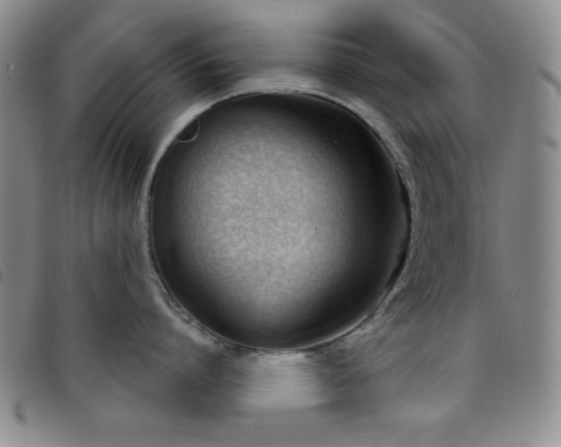 X0000098140864200804241712
