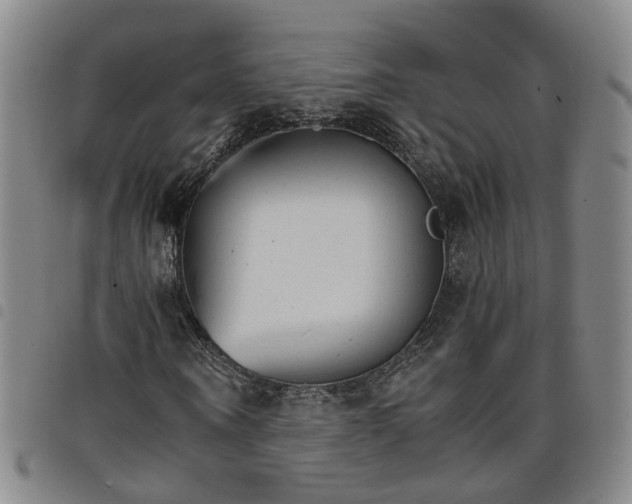 X0000098140866200804241712