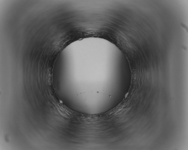 X0000098140868200804241712